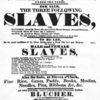 Slave sale notice, "To be sold and let by public auction on Monday the 18th of May, 1829