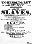 Slave sale notice, "To be sold and let by public auction on Monday the 18th of May, 1829