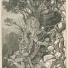Rankness of tropical vegetation