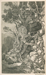 Rankness of tropical vegetation