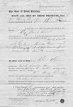 Bill of sale for mulatto man for $1000, signed Henry Trescot