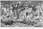 A plantation "corn-shucking"-social meetings of slaves.