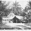 An Ngumba house at Bolobo, belonging to Chief Ibaka [showing enemies skull on roof.]