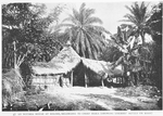 An Ngumba house at Bolobo, belonging to Chief Ibaka [showing enemies skull on roof.]