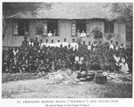 Prepared manioc roots [Kwanga] and sugar-cane. A school feast on the Upper Congo.