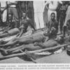 Rubber victims. Natives brought to the Baptist mission for treatment after outrages by agents of concessionnaire companies.