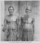 Bolobo chiefs Mungulu and Mukoko.