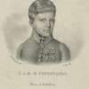 Ferdinand II.