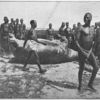 Men and hippopotamus killed for meat