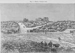 Medina; General view.