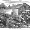 Picking and weighing cotton.