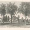 Wolcott house