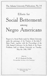 Efforts for social betterment among Negro Americans