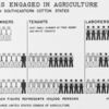 Males engaged in agriculture in seven southeastern cotton states.