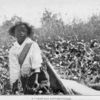 A 7-year-old cotton picker.