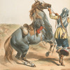 France, 1650-1678. Louis XIV