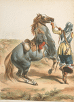 France, 1650-1678. Louis XIV
