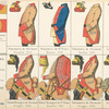 France, 1764, [3]