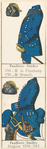 France, 1764, [3]