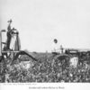 Mechanical cotton picker at work
