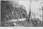 Route de Conakry, cinquantiè kilomètre.