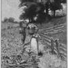 Carrying bushels of corn