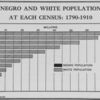 Negro and White population at each census: 1790-1910.