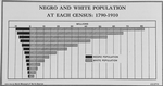 Negro and White population at each census: 1790-1910.