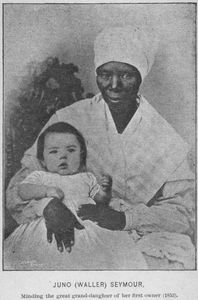 Life of Maumer Juno, of Charleston, S.C. A sketch of Juno (Waller) Seymour.