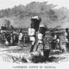 Gathering cotton in Georgia.