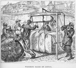 Weighing bales of cotton.