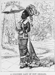 A Coloured lady of New Orleans.