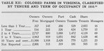 Table XII: Colored farms in Virginia, classified by tenure and term of occupancy in 1910.