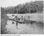 Rafting on the Rio Grande, Port Antonio, Jamaica.