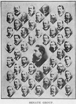 Senate group