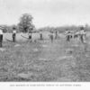 Old method of harvesting wheat on southern farms.