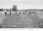 Old method of harvesting wheat on southern farms.