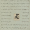 Bishop Stephen Gardiner.