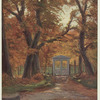Goethe - Homes and birthplace