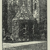 William Ewart Gladstone : Photographs etc.