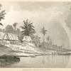 San Miguel, Island of Cozumel