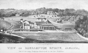 Evidence upon oath touching the condition and treatment of the Negro population of the British West India colonies. Part I: Island of Jamaica. Taken before a Select Committee of the House of Lords, session 1832.