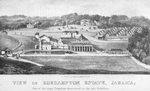 View of Roehampton Estate, Jamaica; One of the many properties destroyed in the late rebellion.