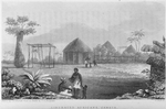 Liberated Africans, Gambia.