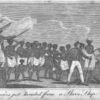 Negroes just landed from a Slave Ship.