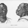 Negro of Bornu