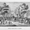 Return of the Sultan of Massena