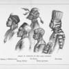 Heads of Africans in the Lake District. 1. Mganga, or Medicine-man, 2. The Porter, 3. The Guide, 4. Minuya Kidogo, 5. Mother and Child.
