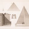 PLATE XXII.