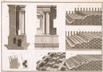 PLATE XXIV.